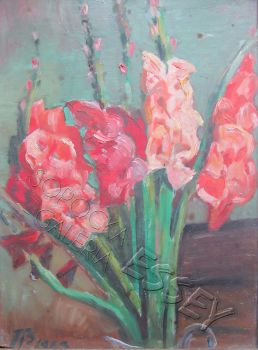 Gladiole, 1963