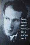 Bruno Schulz - Szkice Krytyczne