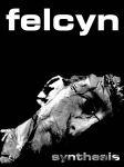 Erazm Wojciech Felcyn - Synthesis Erazm Wojciech Felcyn - Synthesis