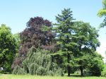 Park Steffensów przyrodą malowany Park Steffensów przyrodą malowany