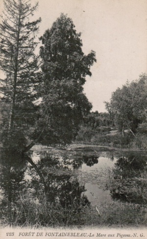 Las Fontainebleau - kartka pocztowa z początku XX wieku Las Fontainebleau - kartka pocztowa z początku XX wieku
